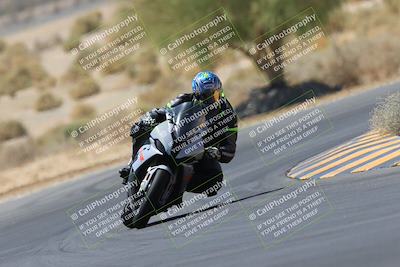 media/May-14-2023-SoCal Trackdays (Sun) [[024eb53b40]]/Turn 5 Tree of Life (1125am)/